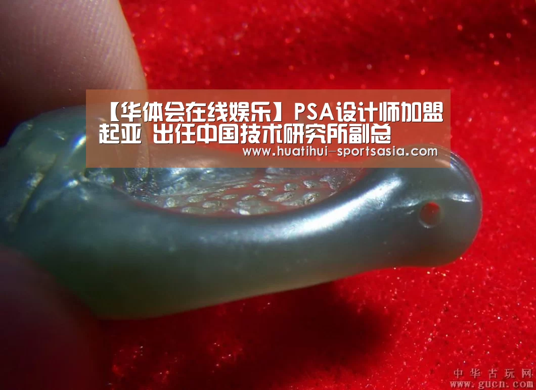 华体会综合娱乐平台