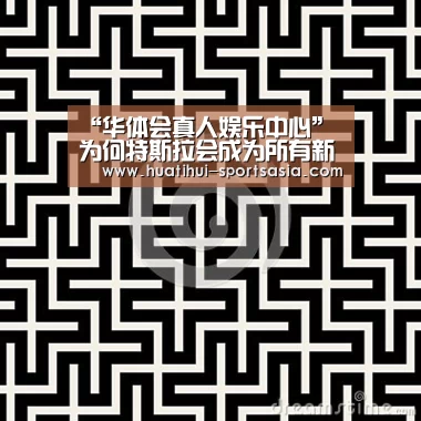 “华体会真人娱乐中心”为何特斯拉会成为所有新能源车企的“假想敌”(图3) 华体会娱乐APP